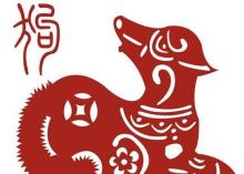 属什么,今年生肖属什么生肖