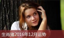 运势,十二生肖每日运势天天看