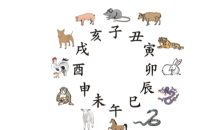 生肖表十二顺序,十二属生肖排行顺序表