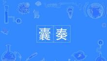 囊的拼音,傩怎么读 读音