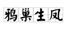 鸦巢生凤是什么意思,乌鸦孝敬父母的成语有哪些