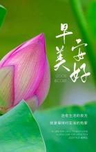 11月5日是什么日子,月5日是结婚好日子 不是婚嫁吉日