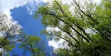 5月25日,早上5点40分出生五行缺什么