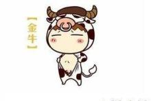 金牛座女生超级难追,什么是踏实稳定的感情